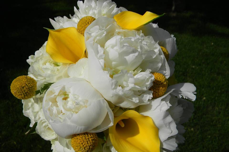 Bouquet of white and yellow flowers