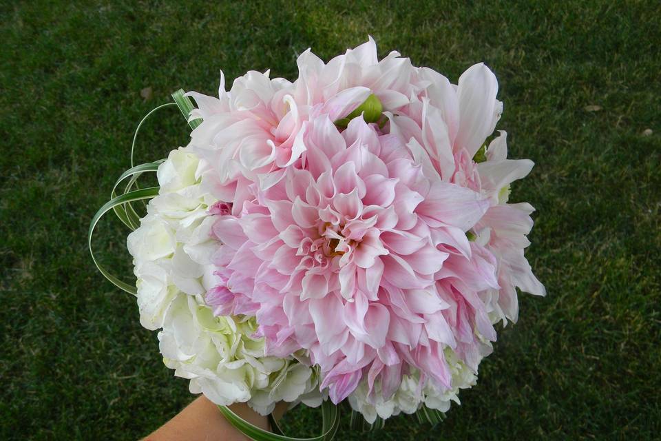 Large pink flower