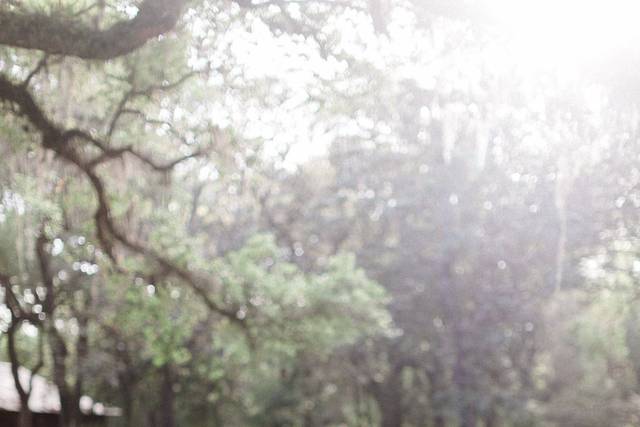 Uttke Photography & Design