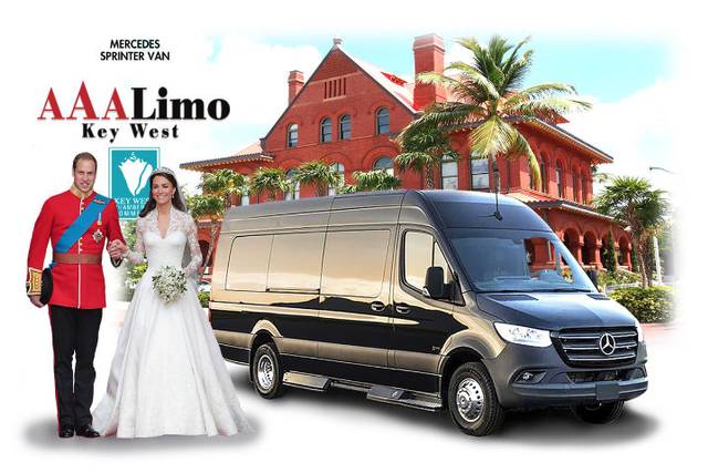 Mercedes Sprinter Van