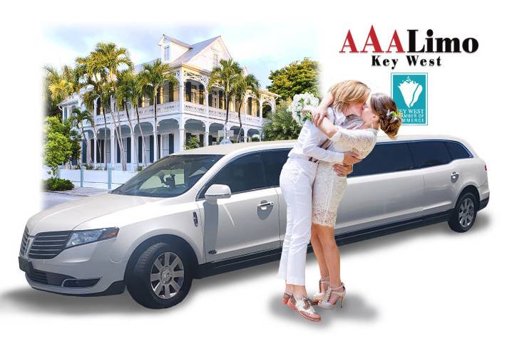 AAA Limousine, LLC