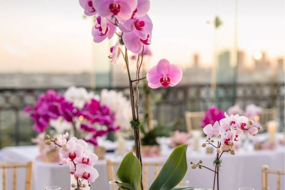 Visionary Events & Design