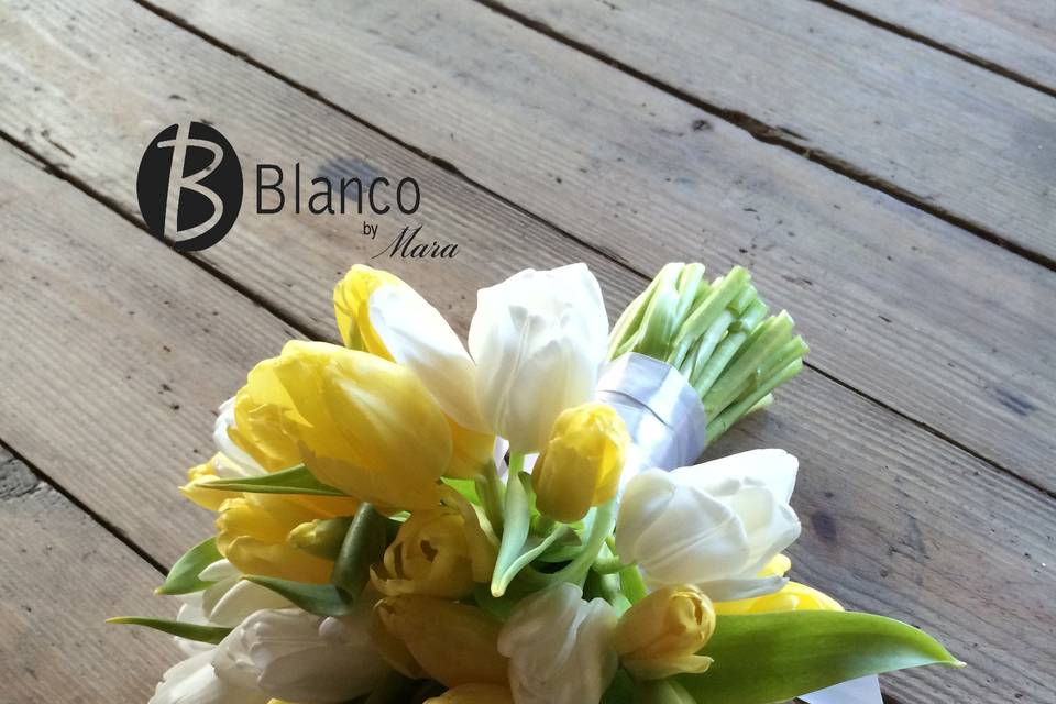 Blanco by Mara
