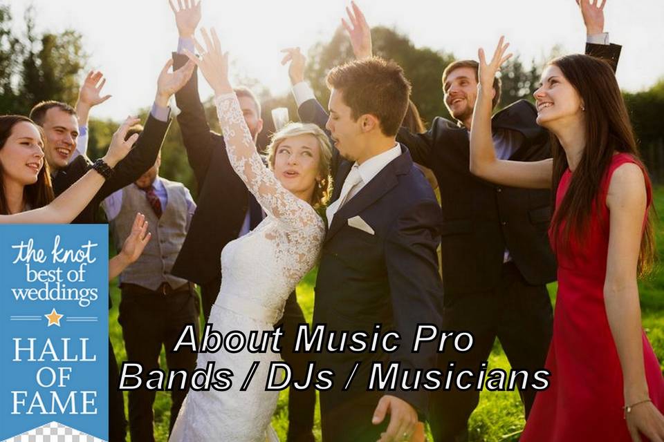 About Music Pro: Bands, DJs, Musicians