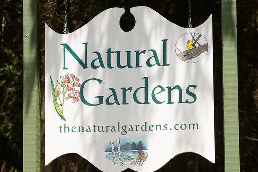 Catskill Weddings at Natural Gardens