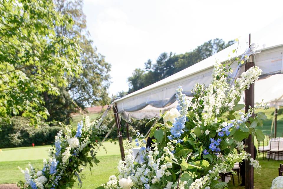 Myopia wedding-tent