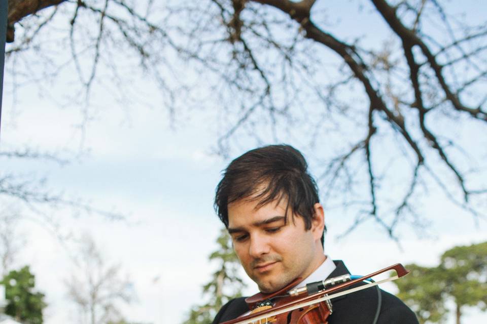 Playing the violin