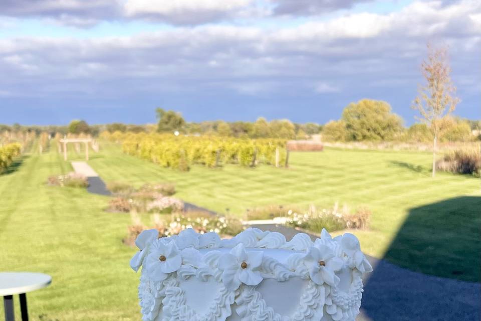 Let Them Eat Cakes