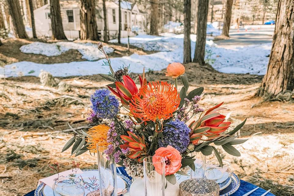 Big trees elopement