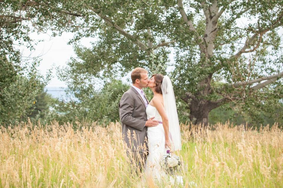 Field next to Stone House. Ryan Olsen Photographer.