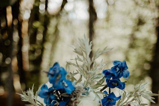 Vibrant blues!