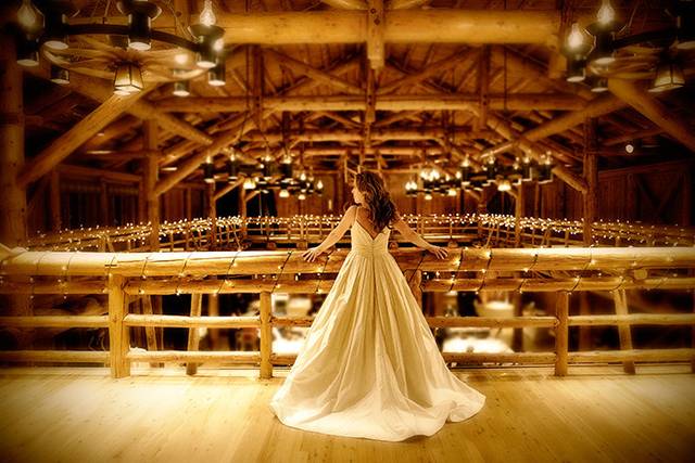 Chris Mather Photography