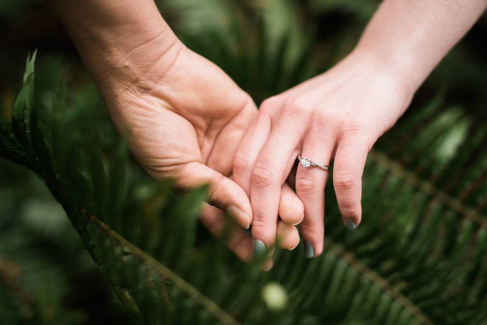 Redwoods Wedding