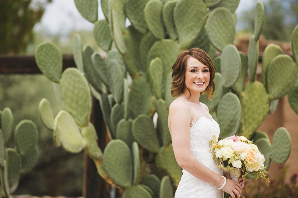 Corona Ranch Tucson