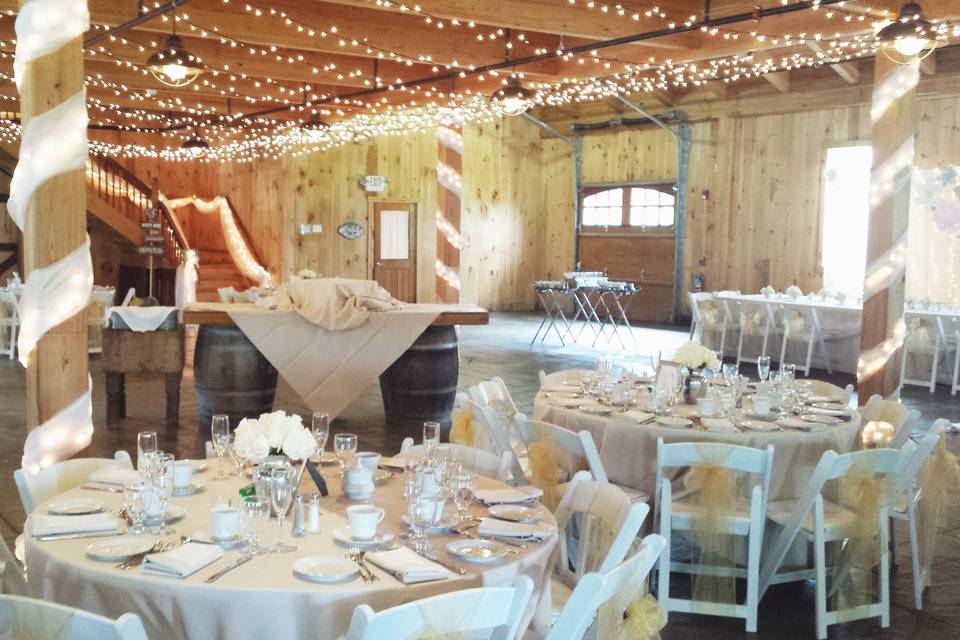 Upscale barn, client wanted lots of lights and organza fabric throughout.