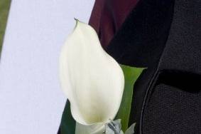 Elegant Touch Inc