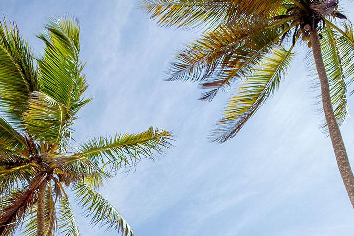 Punta Cana Wedding Photographer