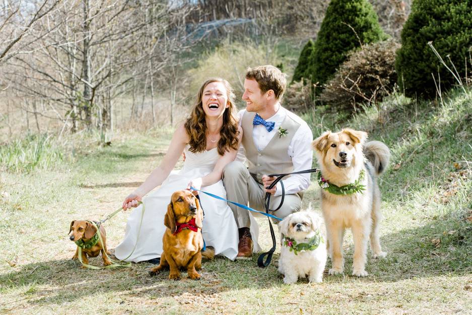 Couple with their dogs