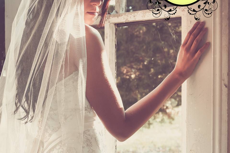 Picture Perfect Photography