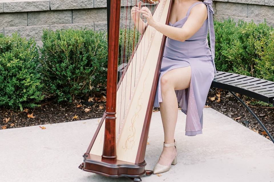 Sonja Westberg, harpist