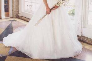 Bridal portrait