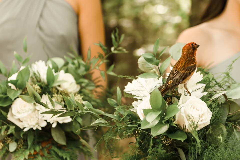 Our Finch Ceremony Blessing