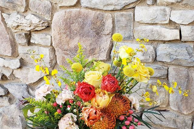 Bright colorful blooms