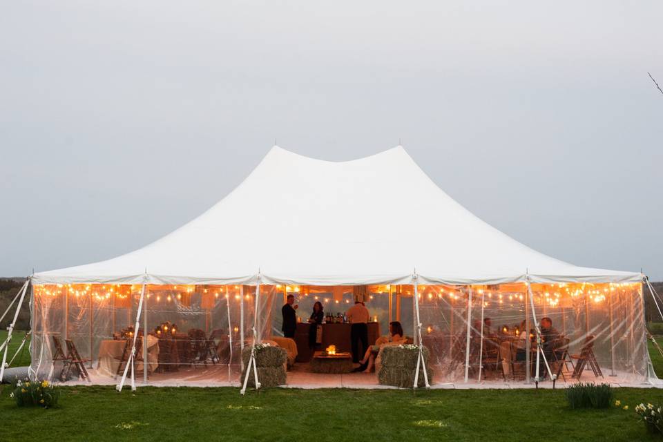 Table setting and floral decor