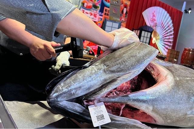 Bluefin tuna event