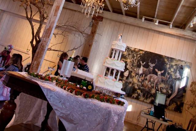Wedding Venue