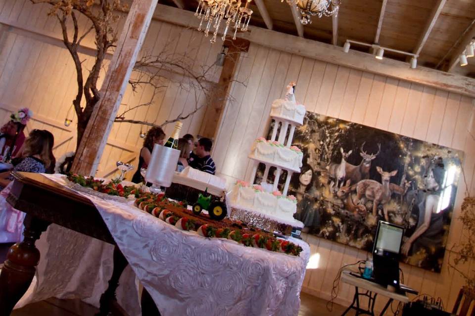 Wedding Venue