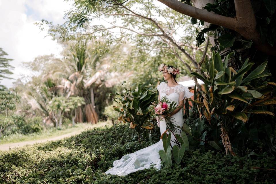 Love Always Weddings Hawai'i