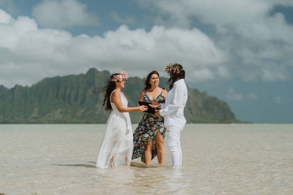 Love Always Weddings Hawai’i