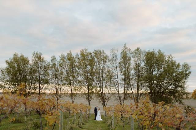 Wedding couple