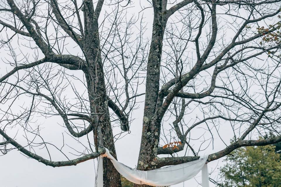 Crystal chandeliers in tree for ceremony