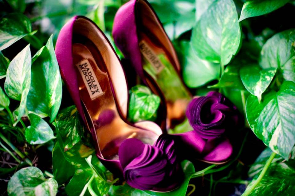 NM Photography