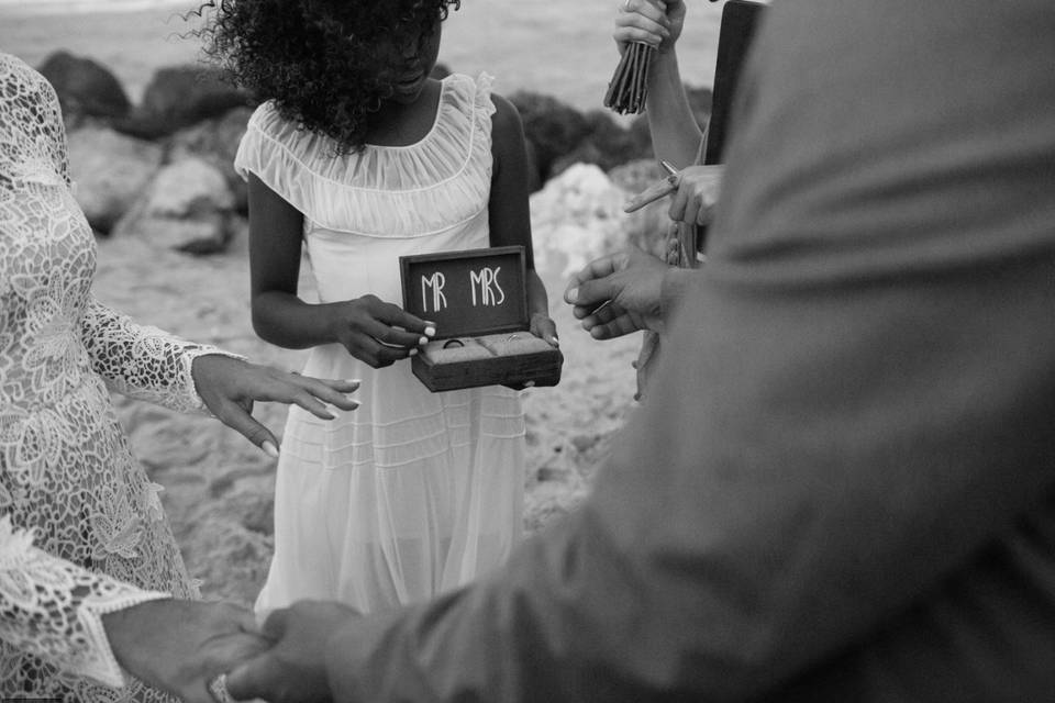 NM Photography
