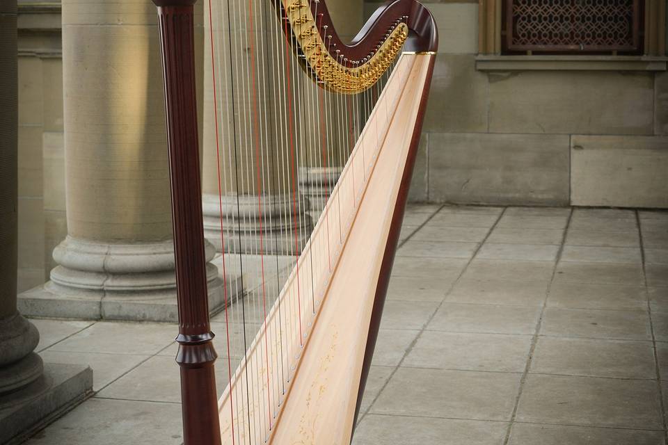 Lyon and Healy 85 pedal harp