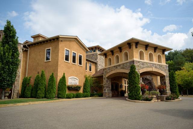 Gervasi Vineyard