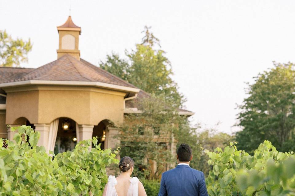 Vineyard & Pavilion