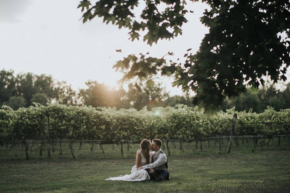 The Vineyard at Gervasi