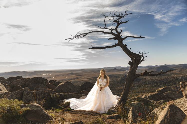 Bridal portraits on Mt. Scott