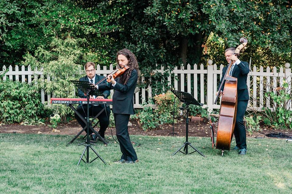 Ceremony Trio