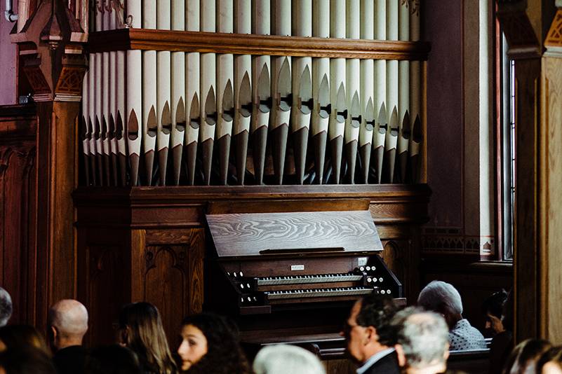 Organ