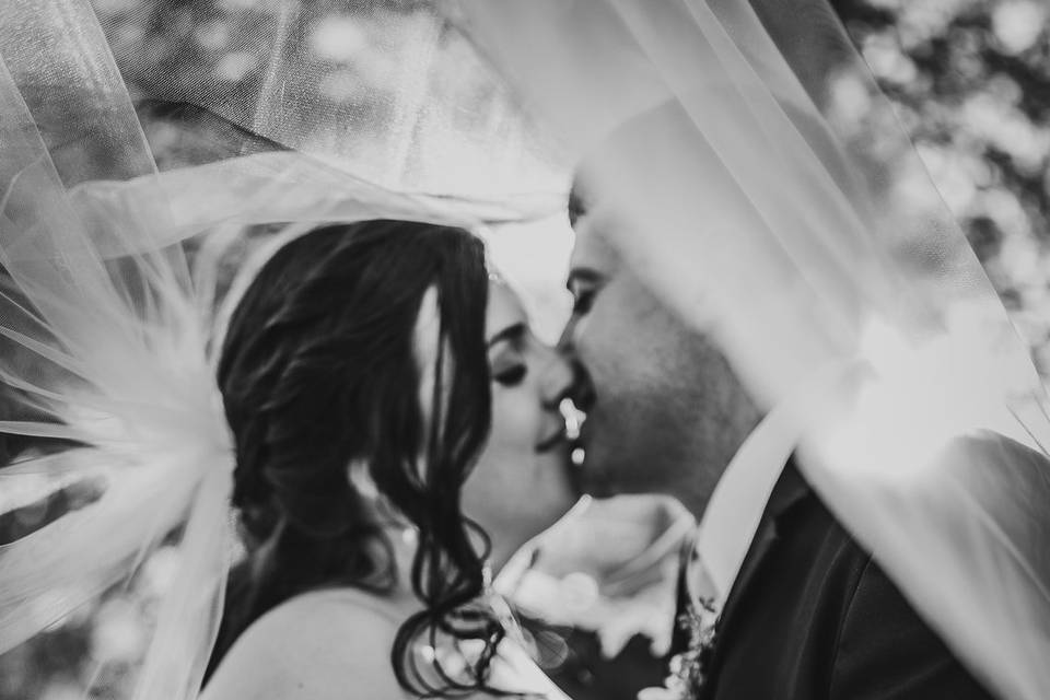 Vibrant Wedding Photography