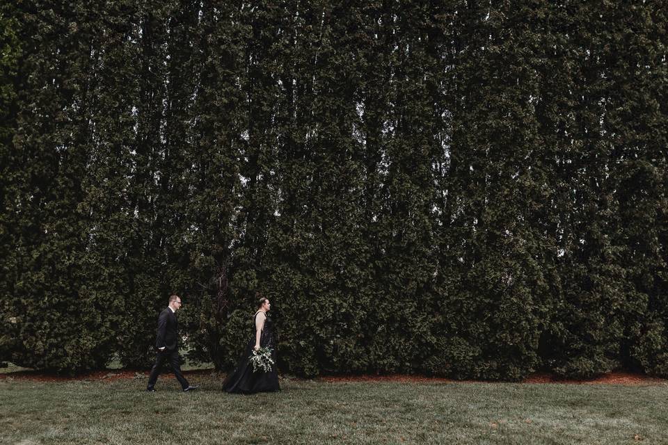 Vibrant Wedding Photography