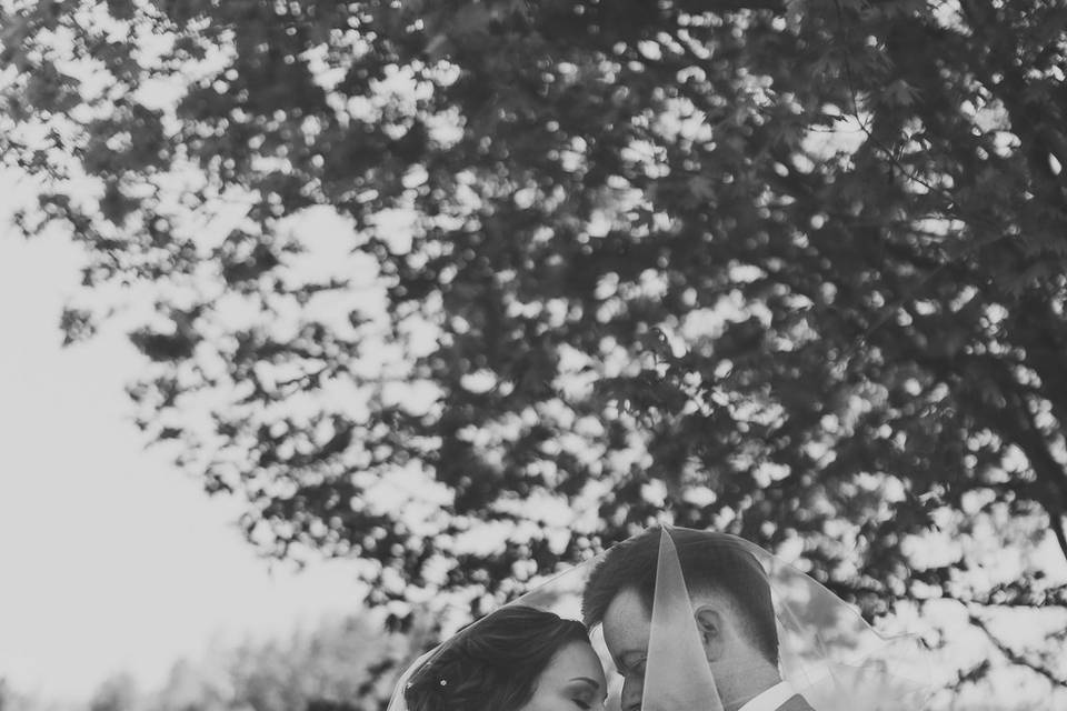 Vibrant Wedding Photography