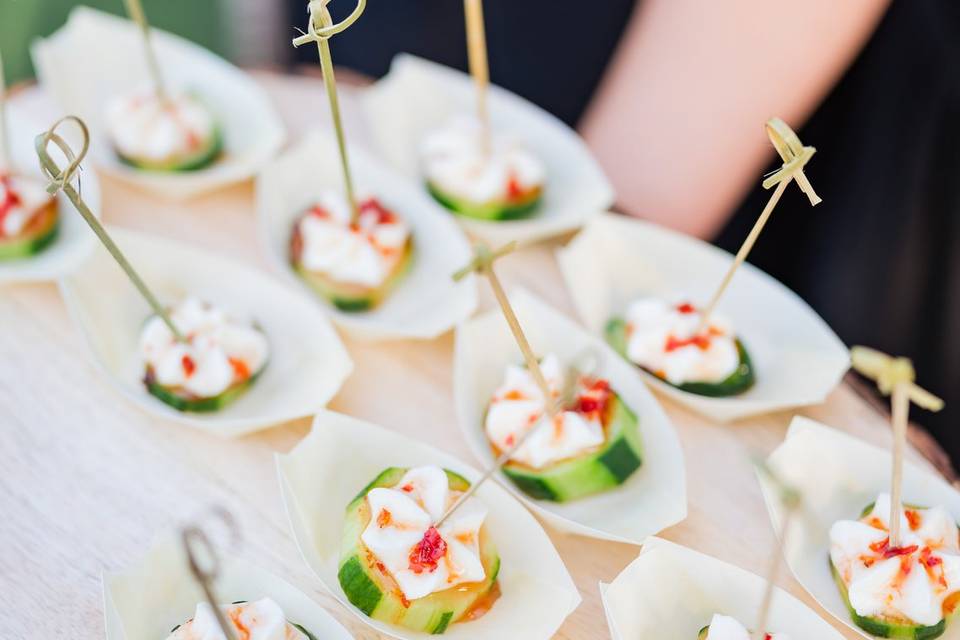 Passed Appetizers