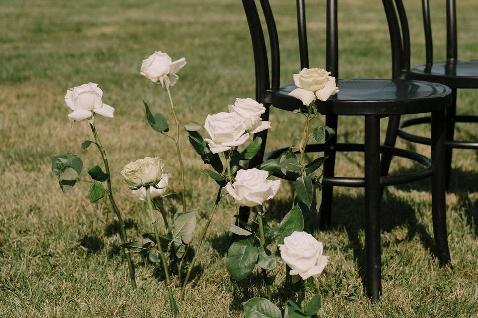 Honeybee Rentals