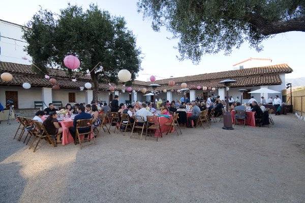 Felici Events